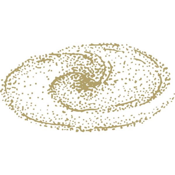 5.-Asteroid,-Comet,-Galaxy-01